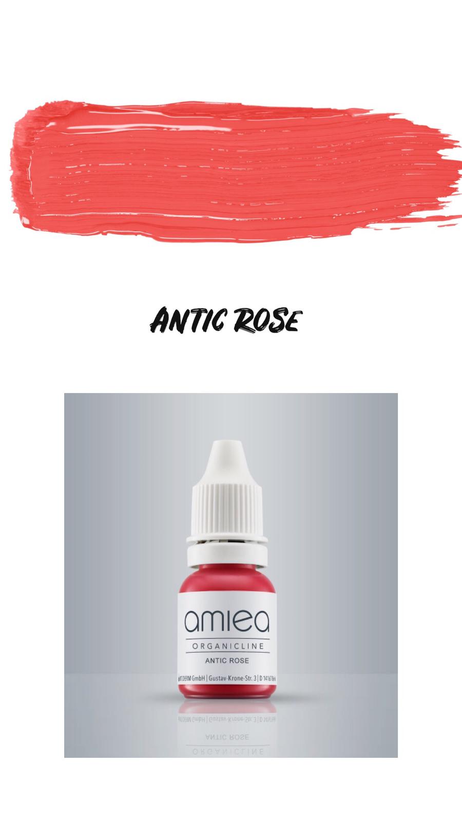צבע אורגני לשפתיים - ANTIC ROSE