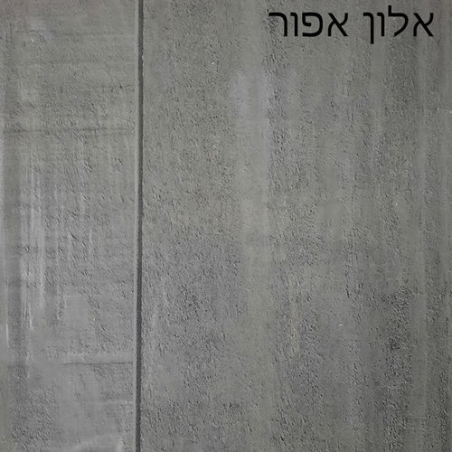 אלון אפור