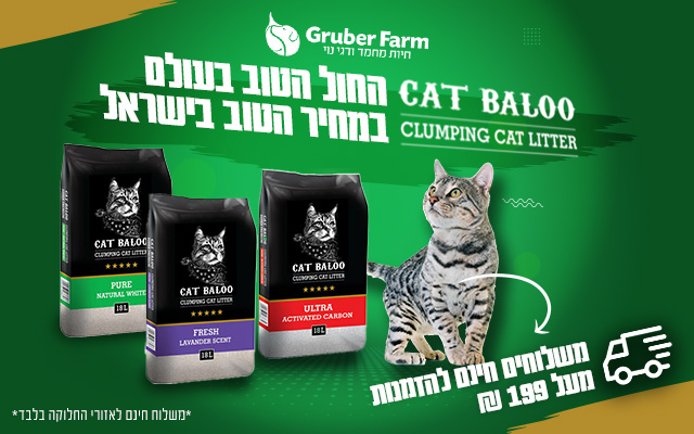 קט בלו חול מתגבש מצויין לחתול