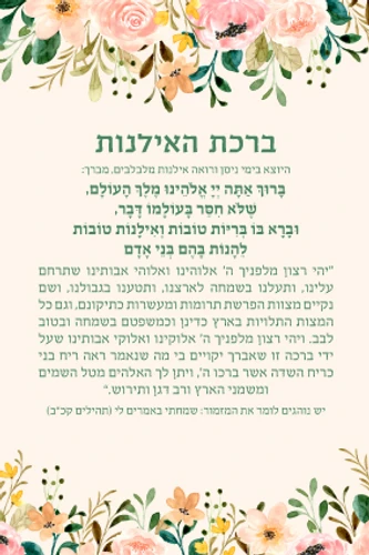 ברכת האילנות 