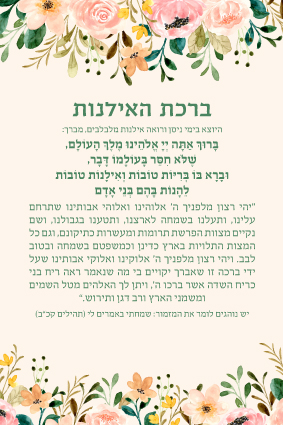 ברכת האילנות