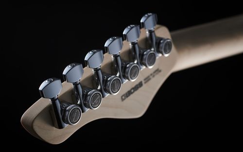 זוית נוספת Boss EURUS GS-1 Synth Guitar