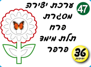ערכת יצירה פרח תלת מימד