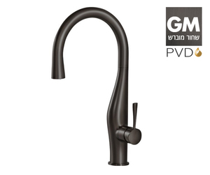ברז מטבח 304869GM שחור מוברש PVD נשלף IMAGINE חמת 
