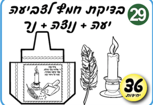 ערכת יצירה בדיקת חמץ