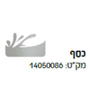 אקזוטיק 500 מ"ל כסף מטאלי