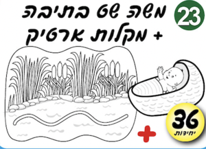 משה בתיבה 