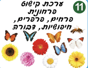 ערכת קישוט אביב