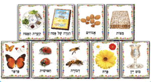 ערכת המחשה אביב ופסח