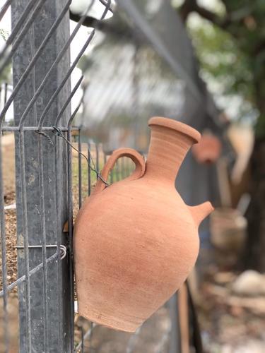 קן ציפור