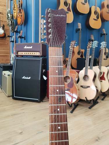 Silvertone Model 1449 Amp-In-Case 1965