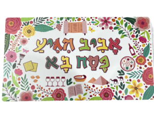 שלט קשיח