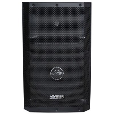 ‏רמקול מוגבר Haymer Pro Q15A