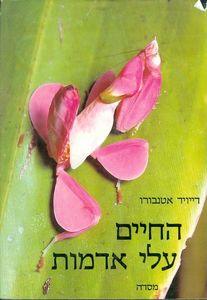 החיים עלי אדמות (יד 2 כחדש) - דייויד אטנבורו מסדה