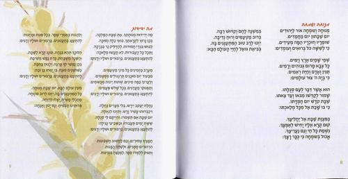 50 יחידות זמירון לשבת ושירי ארץ ישראל בכריכה אישית (L)