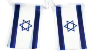 שרשרת דגלים גדולים - אורך 4 מ'