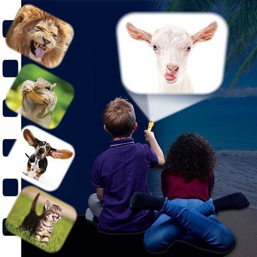 פנס ומקרן - חיות מצחיקות