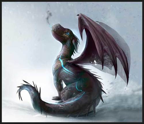 ערכת פנס מקרן 24 תמונות - דרקונים וקוסמים