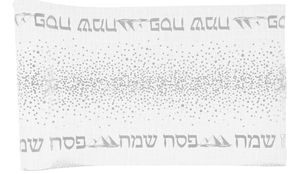 ראנר