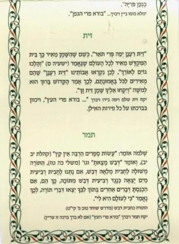 סדר ט