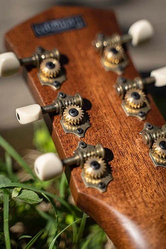 גיטרה אקוסטית מוגברת + נרתיק CORT CORE-PE AMH OPBB Mahogany