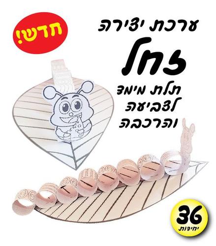 36 יצירה זחל בתלת מימד/אפונה