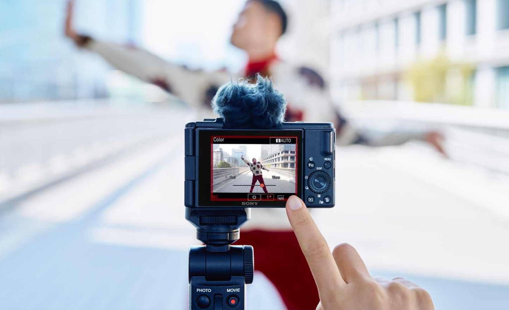 מצלמה מקצועית