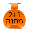 מבצע 2+1
