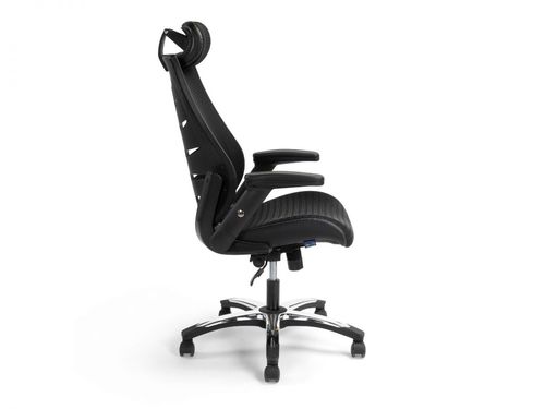 כיסא מנהלות ד״ר גב Creative Plus מורכב