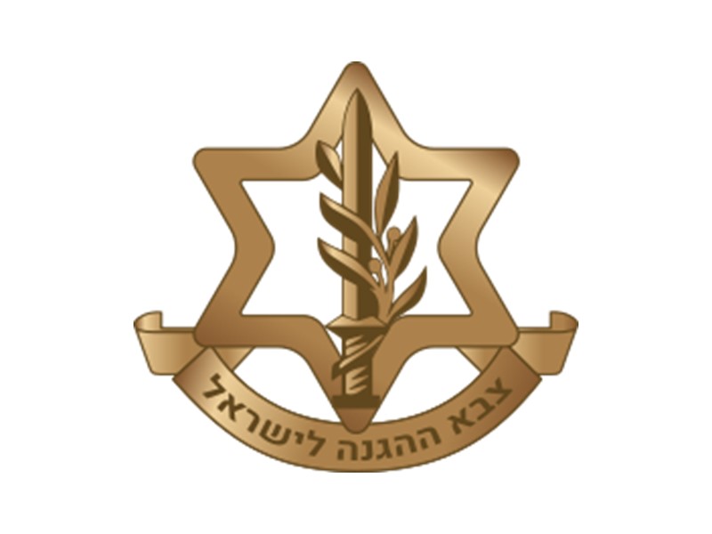 דגלי צהל 