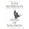 song of solomon (יד2) - toni morrisson