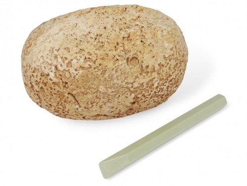 ביצת דינוזאור לחפירה + כלי