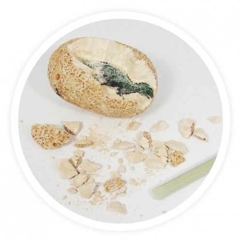 ביצת דינוזאור לחפירה + כלי