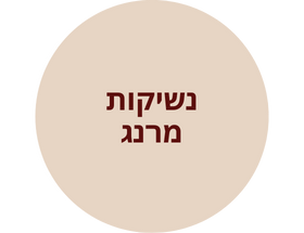 6b2691cf25b3ee29ca520f1bb048fed1
