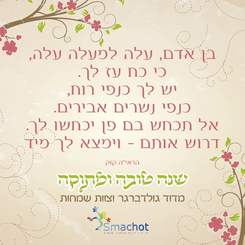 50 יחידות מגנט מעוצב לאירוע