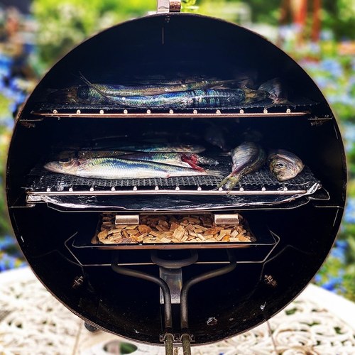 שבבי עישון למעשנה, עץ אלמון , 10 ליטר