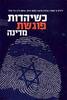 כשיהדות פוגשת מדינה (יד 2) - ידידיה צ' שטרן ואחרים