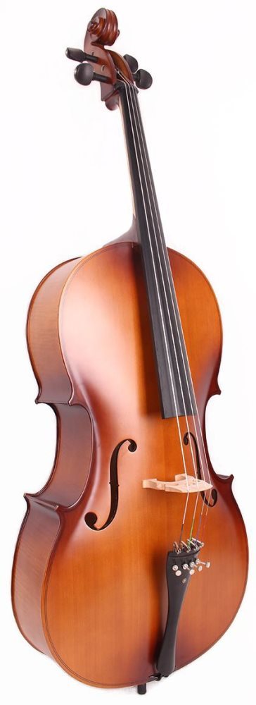 קונטרבס 3/4 קומפלט עם נרתיק וקשת DB-290 LE MANS Flamed Maple Back & Sides