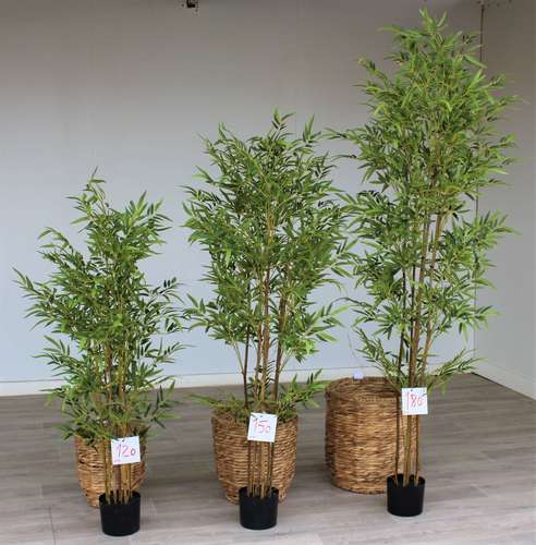 עציץ במבוק כפרי 180 ס