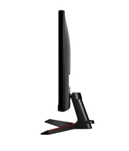 מסך מחשב LG 29