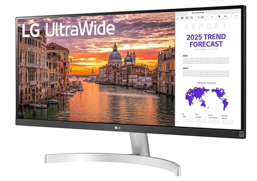 מסך מחשב LG TFT 29
