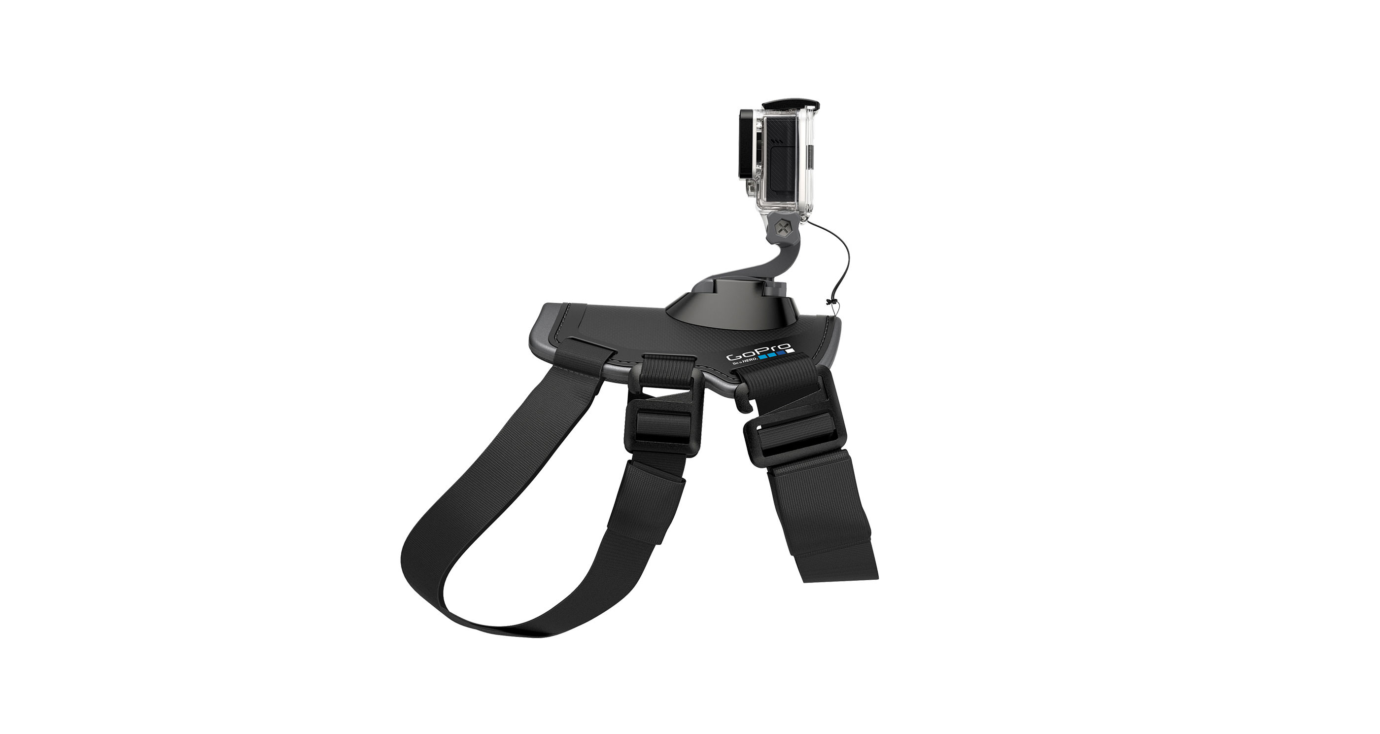 רתמה לכלב GoPro Fetch 