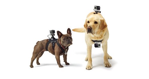 רתמה לכלב GoPro Fetch 