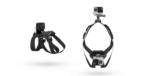 רתמה לכלב GoPro Fetch 