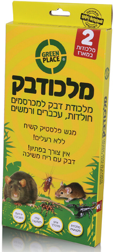 מלכודבק לחולדות