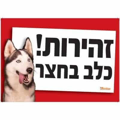 שלט זהירות כלב בחצר האסקי סיבירי