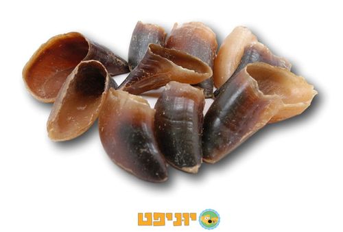 פרסה מיובשת לכלבים חטיף לעיסה טבעי