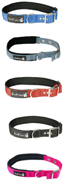 קולר מרופד אבזם לכלב פטס פרוג