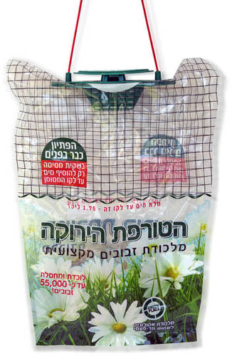 מלכודת זבובים הטורפת הירוקה 
