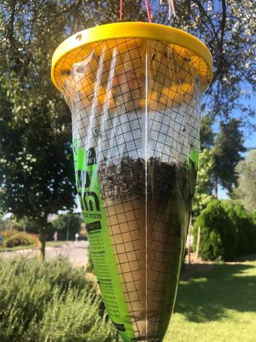 מלכודת זבובים XL